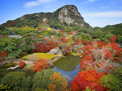御船山楽園 紅葉ライトアップ