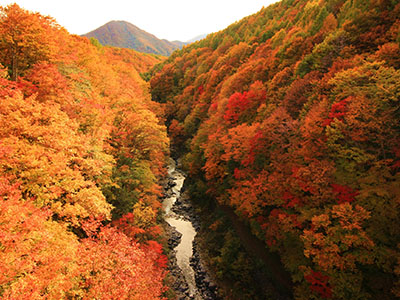 中津川渓谷(裏磐梯)の紅葉