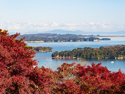 松島海岸の紅葉
