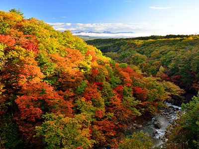 八幡平の紅葉