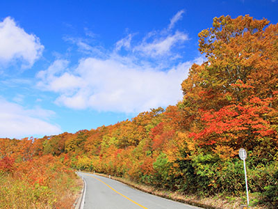 蔵王周辺の紅葉