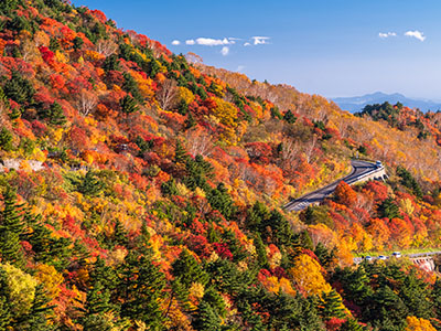 磐梯吾妻スカイラインの紅葉
