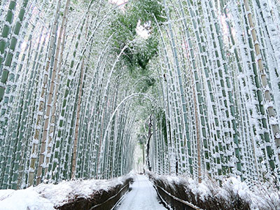 京都府
