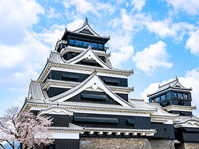 熊本城の桜