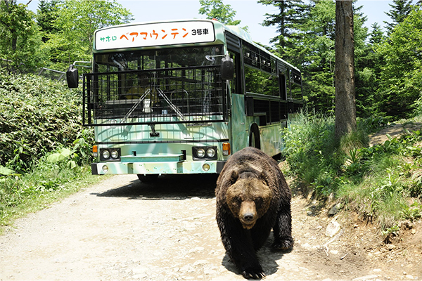 サホロリゾートホテル