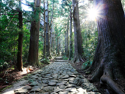 紀伊山地の霊場と参詣道