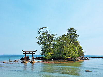 石川県　岩牡蠣
