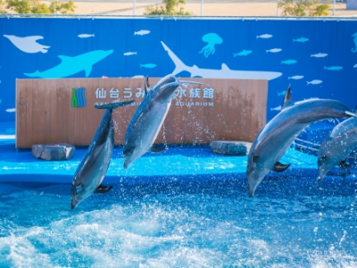夏休み 首都圏発 宮城県