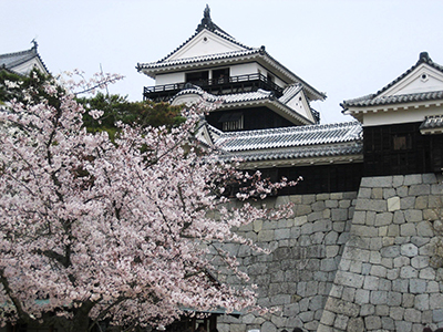 春のおすすめ観光地
