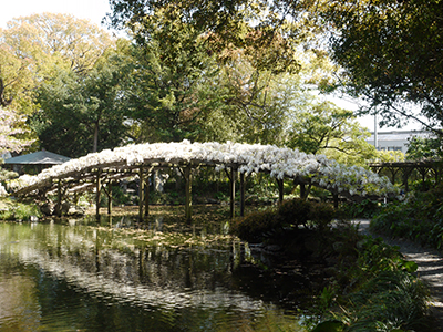 春のおすすめ観光地