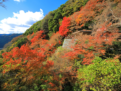秋のおすすめ観光地