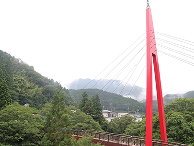 霧の森・霧の高原