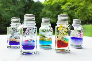 神奈川県の夏休み限定 マリンハーバリウムのミニボトル情報なら日本