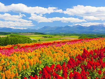 子ども用プールがある宿