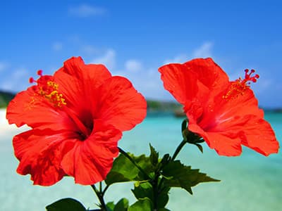 最寄り駅から徒歩5分以内