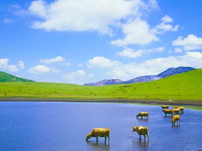 コンビニがある宿