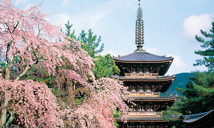  古都京都の文化財 <