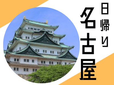 １名様よりお申し込みOK！日帰り名古屋　世界の山ちゃん「幻の手羽先1人前（5本セット・テイクアウト）」付