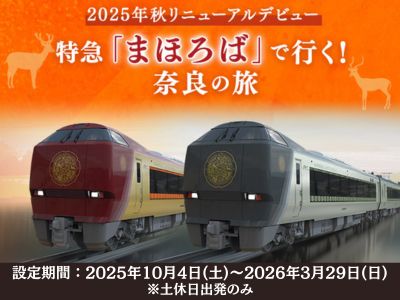 【1名様からご利用OK】特急「まほろば」で行く!日帰り奈良