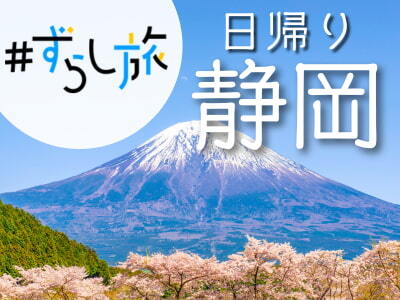 限定列車で行く!ずらし旅♪日帰り静岡☆(名古屋発)