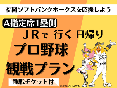 【A指定席１塁側】１名様よりお申込みOK！プロ野球観戦プラン～福岡ソフトバンクホークスを応援しよう～
