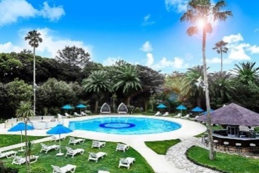 おすすめポイント