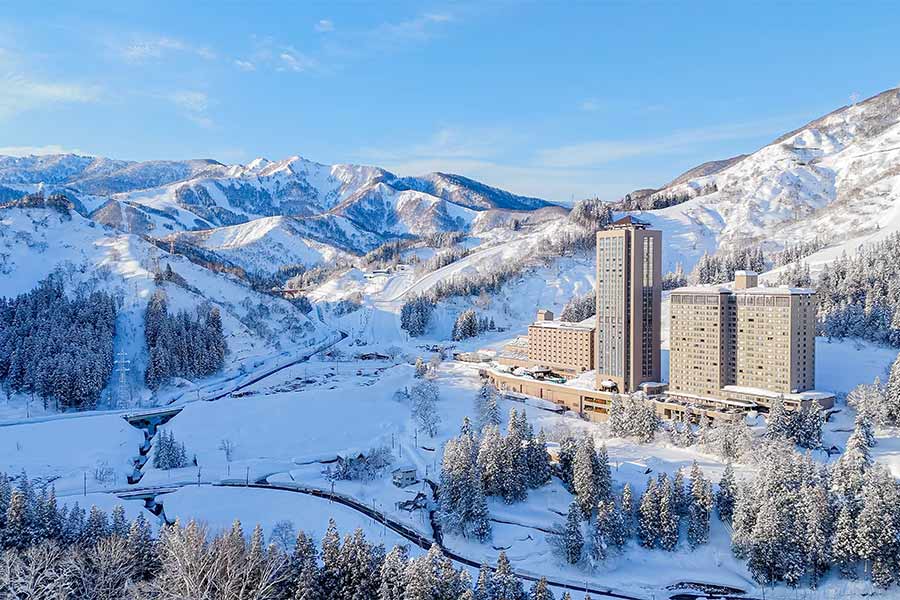 おすすめポイント