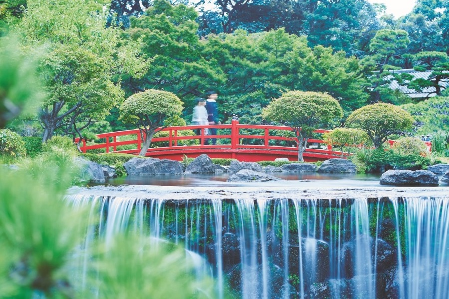 おすすめポイント