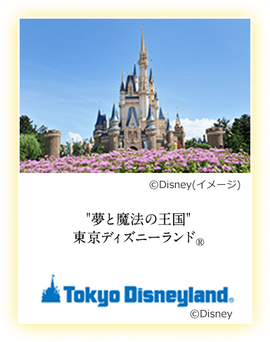 東京ディズニーリゾート への旅 国内旅行 国内ツアーは日本旅行