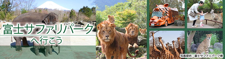 富士サファリパークへの旅 おすすめの国内の旅行やツアー 国内旅行 国内ツアーは日本旅行