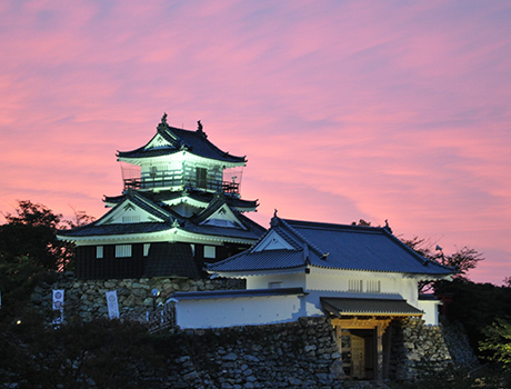 家康公入城450年目前の浜松城で再建60周年企画展還暦の浜松城を祝う