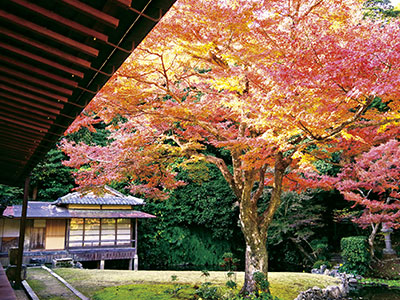 宗隣寺