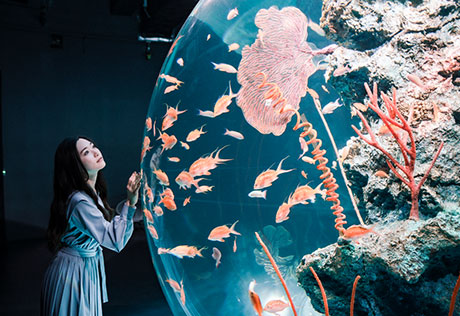 AQUARIUM×ART átoa