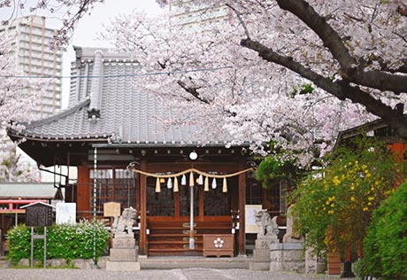 櫻井神社