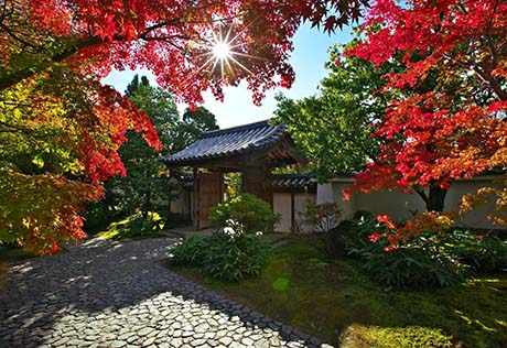 姫路城西御屋敷跡庭園 好古園