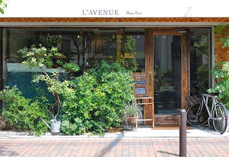 L'AVENUE(ラヴニュー)