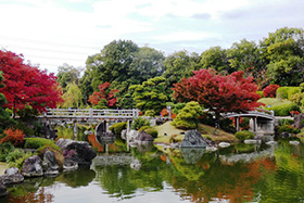 大仙公園日本庭園