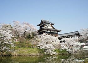 史跡　郡山城跡