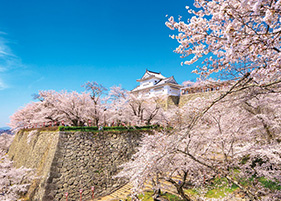 津山城(鶴山公園)