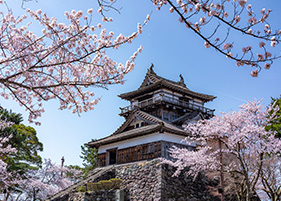 丸岡城
