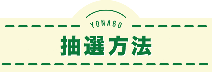 抽選方法