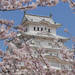 日本が誇るお城の世界遺産「姫路城」