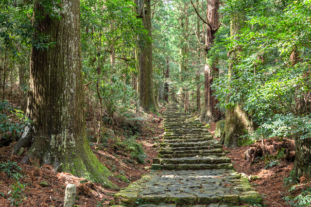 神秘のパワースポット！世界文化遺産「熊野古道」を歩く旅 - Tripa