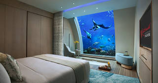 
ホテルの部屋が水族館！？海の中にいるような癒しのステイ！