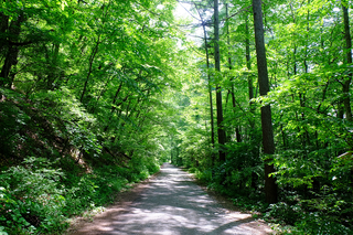 今年の夏休みは涼しく過ごそう!日本国内のおすすめの避暑地10選