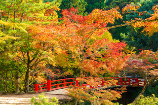 日本の秋を大満喫！日本全国おすすめの紅葉絶景スポット15選