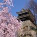 自分だけのアングルを探して桜とお城の絶景写真を撮ろう！