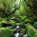 国内で体感できる！世界に誇る日本の絶景世界遺産10選