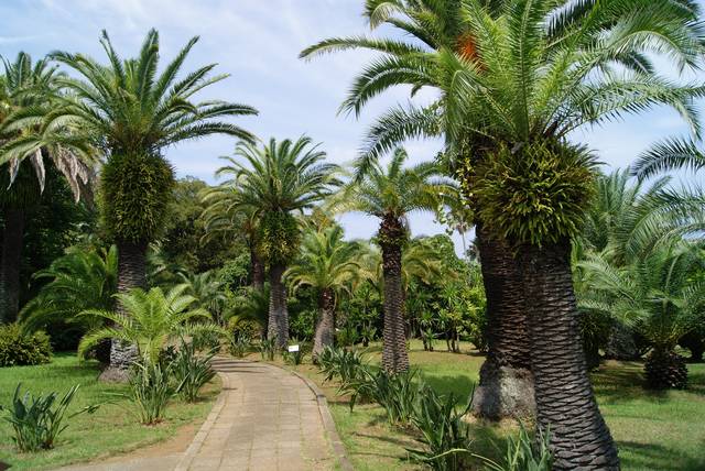 首都圏から一番近い離島初島は南国ムードにあふれリゾート気分 Tripa トリパ 旅のプロがお届けする旅行に役立つ情報