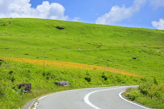 夏休みにおすすめ 夏のビーナスラインを走る絶景高原ドライブ Tripa トリパ 旅のプロがお届けする旅行に役立つ情報